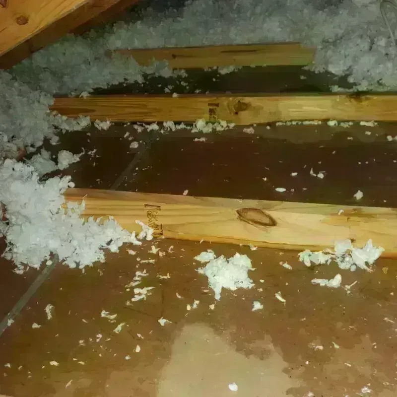 Attic Water Damage in Aspen, CO