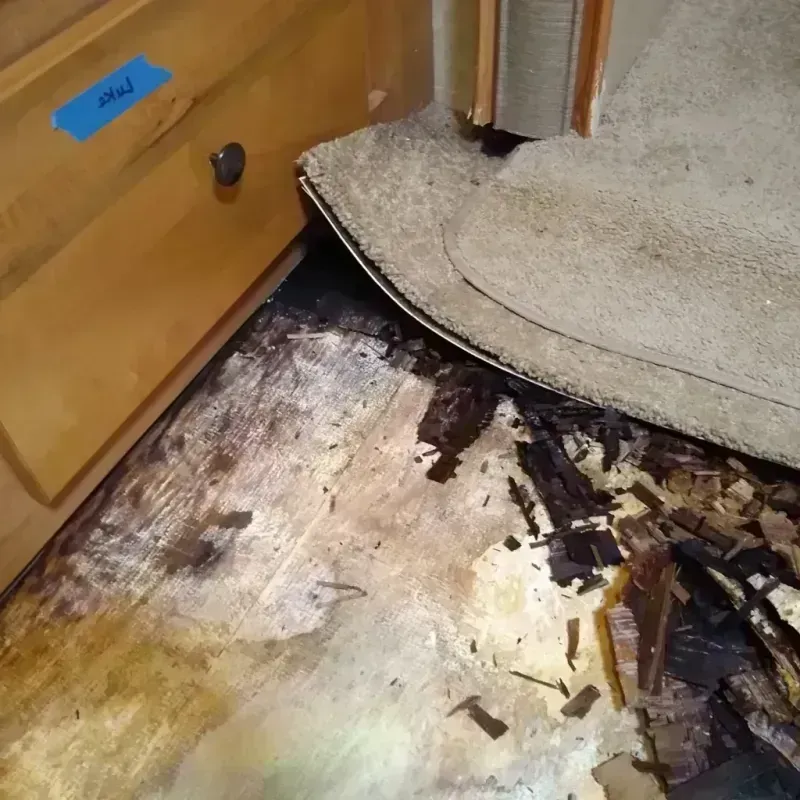 Wood Floor Water Damage in Aspen, CO